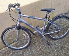 Raleigh