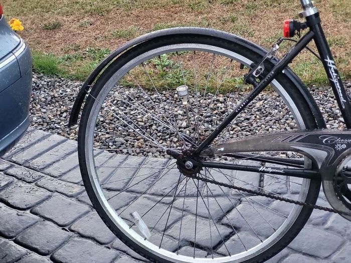 Ladies Bike single speed No Messy Gears