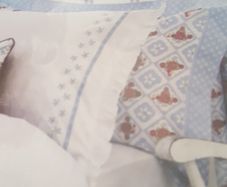 Bedeck Pillowcase