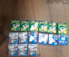bulbs