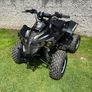 125cc semi auto quad Image 2