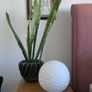 Night Lamp Image 2