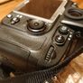 Nikon D800 + 105mm Macro Lens + Macro Flash Image 4
