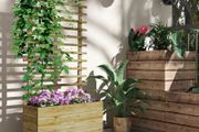 Wooden Raised Planter, with Back Trellis - Natural Finish