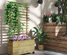 Wooden Raised Planter, with Back Trellis - Natural Finish