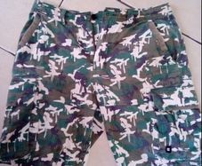 DC Shorts men's 32