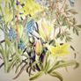 Limited edition botanical print by Jenny Jowett Image 9