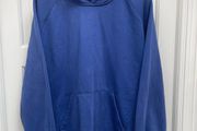 Carhartt Hoodie (Blue)