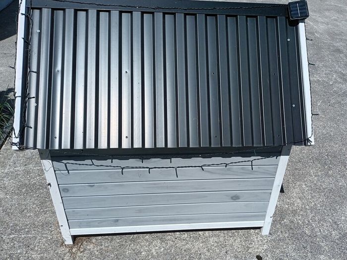 Dog house