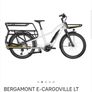 Electric Bike Image 4