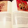 1968. 200 House Plants In Colour. Image 4
