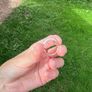 Solid Silver Signet Ring Size P Image 4