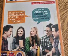 Cuentame leaving cert spanish