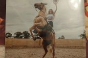 Janet Devlin - Emotional Rodeo