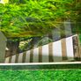 Vivarium for rodent Image 2