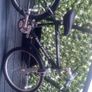 2 mint bikes for 300 Image 2