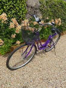 Ladies city bicycle with basket