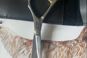 Professional Scissors