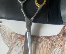 Professional Scissors