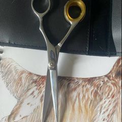 Professional Scissors