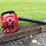 leafblower Image 2