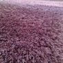 Shaggy Rug Image 3