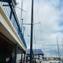 29er Sailing Dinghy - Sail No. HKG 164 / Hull No. 731 Image 5