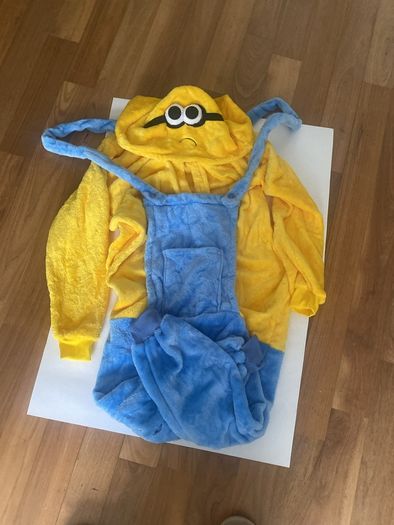 Halloween costume minions