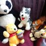 Teddys, soft toys, Teddy Bears. Image 3