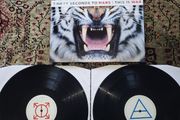 Thirty seconds to mars: this is war x2 LP