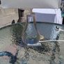 Table lamp. Works perfect good condition no marks or scratches Image 2