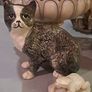 Vintage Cat Rushton Pottery Image 4
