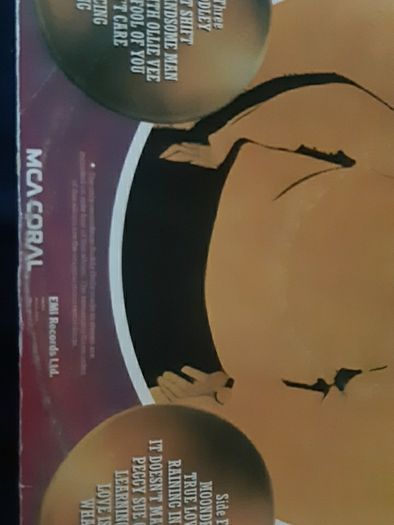 buddy holly legend record