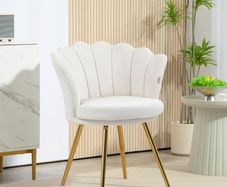 Shell chair vanity chair velvet salon chair with golden metal legs cream