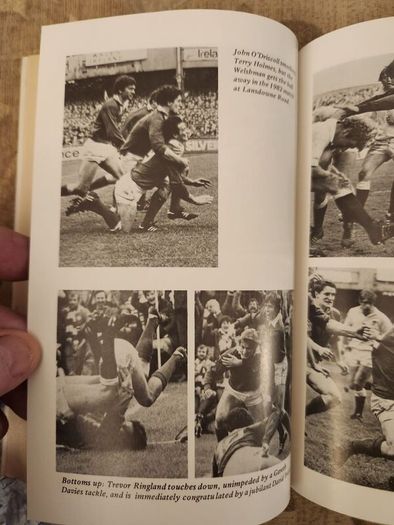 The Irish Lions 1896-1983. By Barry Coughlan. First Edition Paperback In Good Condition. 37.