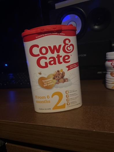 Cow and gate