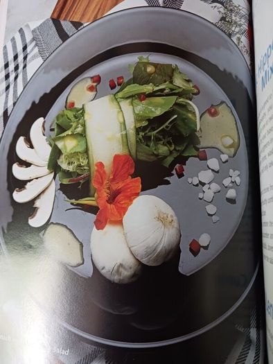 The Raw Gourmet Naomi Shannon / 2004