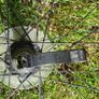 Bike wheel bontrager Image 5