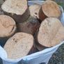 firewood /logs Image 5