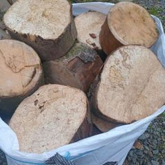 logs