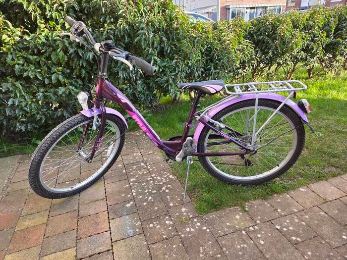 24" Purple Style Bike with Rack and Mudguards
