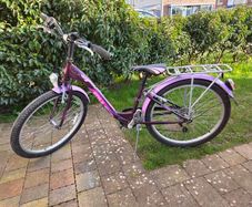 24" Purple Style Bike with Rack and Mudguards