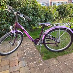 24" Purple Style Bike with Rack and Mudguards