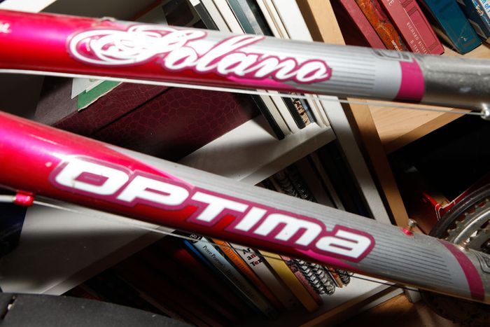 Solano Optima Bike