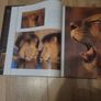 wildlife book Image 2