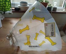 Dog cone - 20cm - free