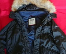 Tommy Hilfiger Padded Jacket with Hood