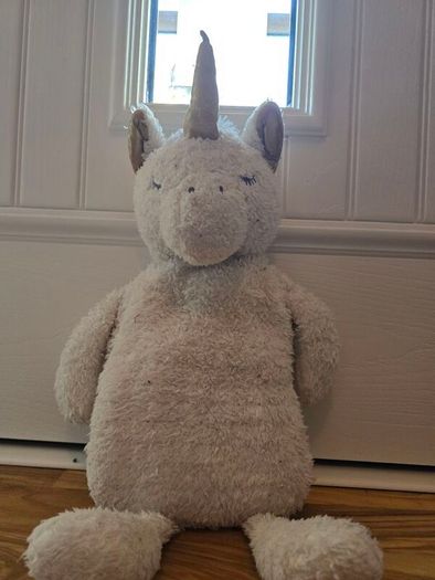 Teddies