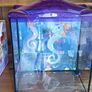 fish tank Image 2