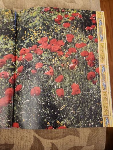 A Treasure Of Irish  Verse. Edited By David Gibbon. First Edition Hardback With Dustjacket In Very Good Condition. 36.